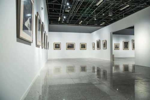 三展聯(lián)動 藝術、創(chuàng)新與傳承的視覺盛宴